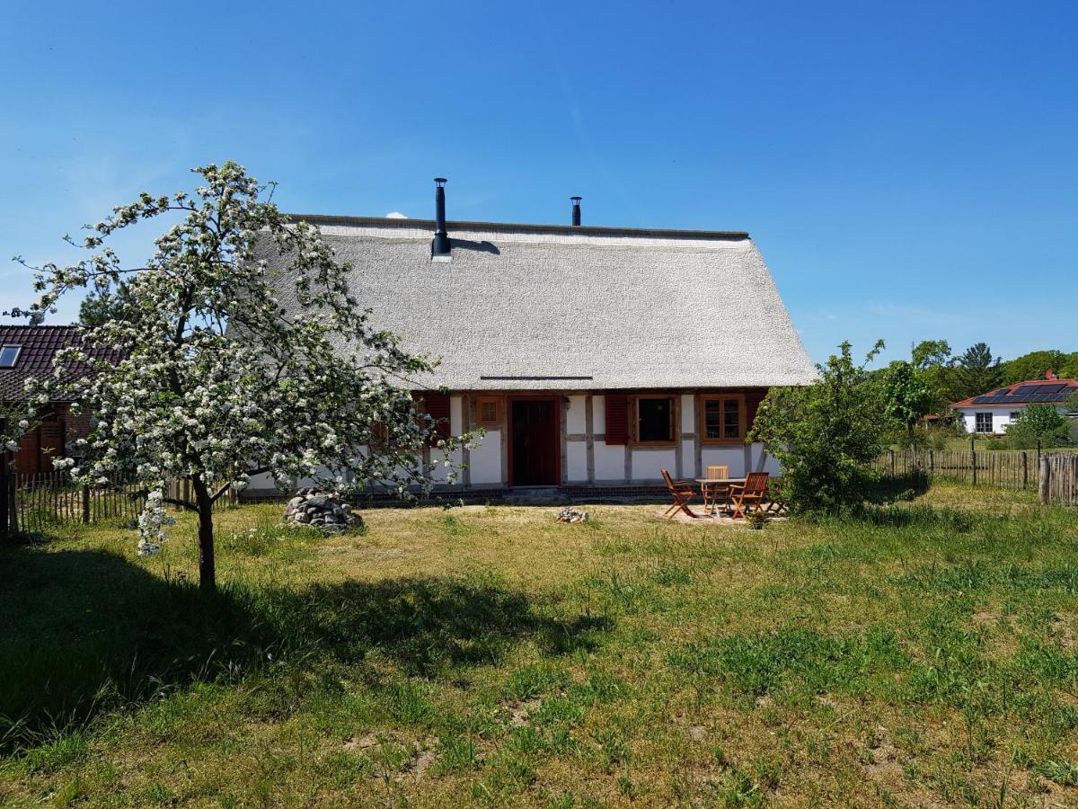 Fischerhus Lütt Hauke 69 qm Traudel Altwarp Exterior foto